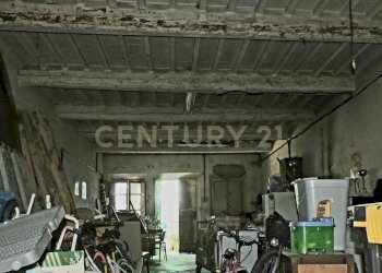 DSCN4345.JPG - Rustic Via delle Pianacce 45, Capannori - photo 15