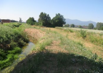 Terreno1.JPG - Capannone Via Romana Ovest 342, Porcari - foto 22