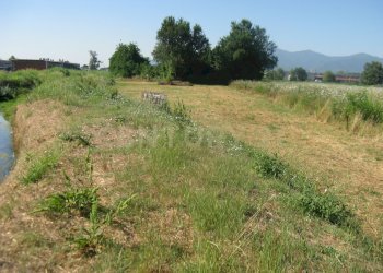 Terreno2.JPG - Capannone Via Romana Ovest 342, Porcari - foto 23