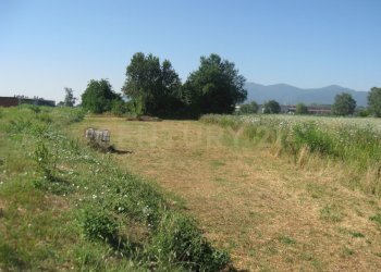 Terreno3.JPG - Capannone Via Romana Ovest 342, Porcari - foto 24