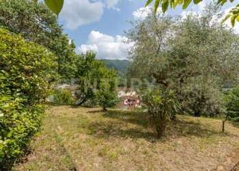 giardino - Independent house Viale San Francesco 6, Borgo a Mozzano - photo 28