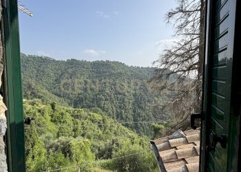 Vista.JPG - Rustico Località Deccio di Brancoli 3100, Lucca - foto 24