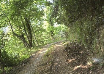 Strada 6.jpg - Rustico Località Deccio di Brancoli 3100, Lucca - foto 25