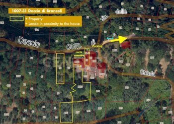 PHOTO-2025-07-16-16-17-00.jpg - Rustico Località Deccio di Brancoli 3100, Lucca - foto 26