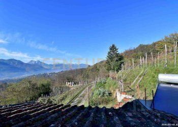 Villa Padronale vigneto - Rustico Coreglia Antelminelli - foto 20