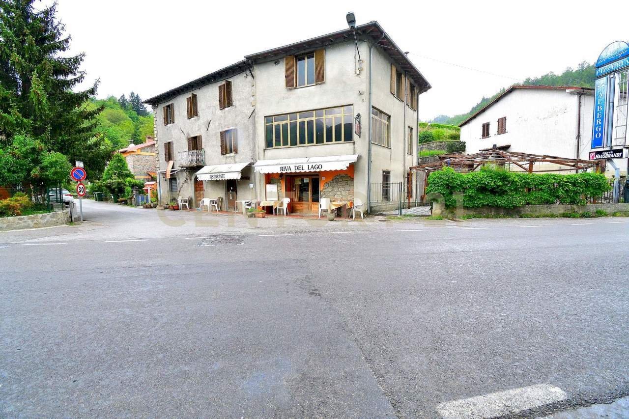 1001-80 Gramolazzo (100)-WR.jpg - Albergo - Struttura ricettiva Rimessa di Agliano 20, Minucciano - foto 1