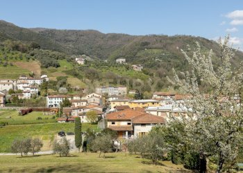 Panorama - Casa indipendente Via Salita  18, Borgo a Mozzano - foto 10