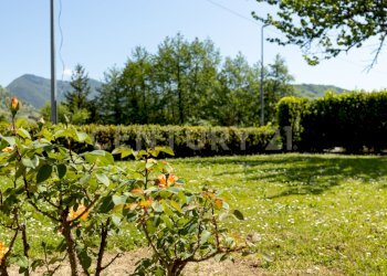 Giardino - Casa indipendente Via Salita  18, Borgo a Mozzano - foto 27