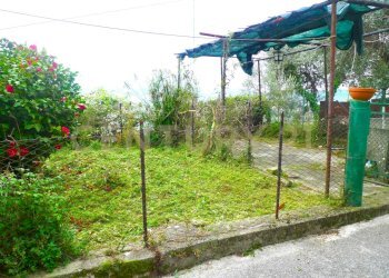 giardino - Independent house Via di Matraia 76, Capannori - photo 16