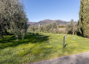 20250228 24.jpg - Villa Via delle Ville 651, Capannori - foto 24