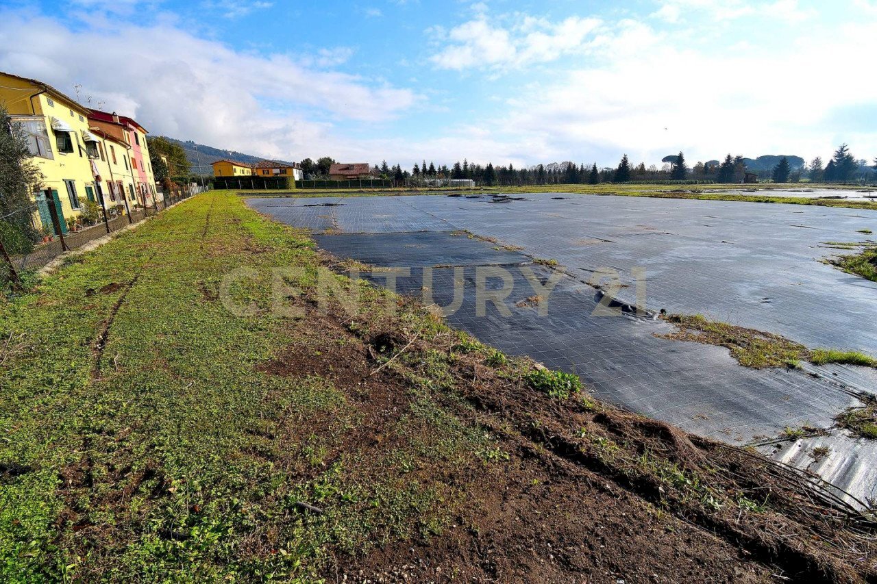 2023_12_20231219183000-816184-2.jpg - Agricultural land Pistoia - photo 2