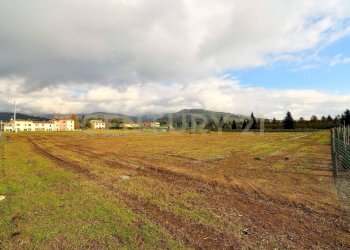 2023_12_20231219183024-816184-5.jpg - Terreno agricolo Pistoia - foto 1