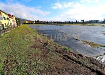2023_12_20231219183000-816184-2.jpg - Terreno agricolo Pistoia - foto 2