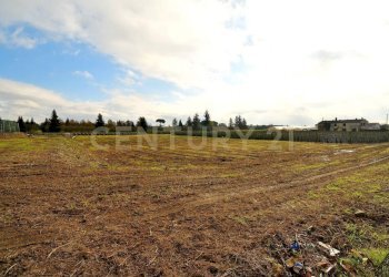 2023_12_20231219183031-816184-6.jpg - Terreno agricolo Pistoia - foto 5