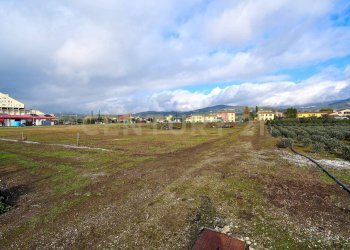 2023_12_20231219183104-816184-11.jpg - Terreno agricolo Pistoia - foto 10