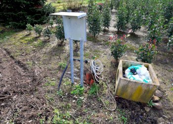 2023_12_20231219183123-816184-13.jpg - Terreno agricolo Pistoia - foto 12