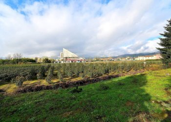 2023_12_20231219183139-816184-15.jpg - Terreno agricolo Pistoia - foto 13
