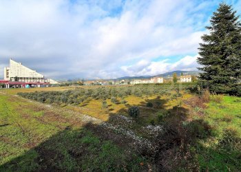 2023_12_20231219183147-816184-16.jpg - Terreno agricolo Pistoia - foto 14