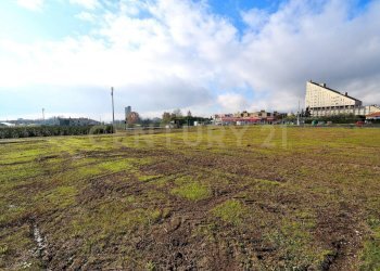 2023_12_20231219183215-816184-18.jpg - Terreno agricolo Pistoia - foto 16