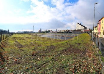 2023_12_20231219183232-816184-20.jpg - Terreno agricolo Pistoia - foto 18
