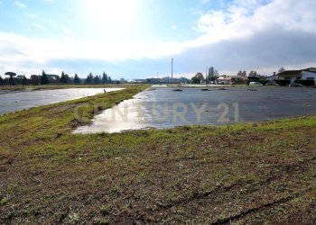 2023_12_20231219183251-816184-22.jpg - Terreno agricolo Pistoia - foto 20