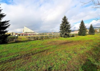 2024_03_20240328162212010598021.jpg - Terreno agricolo Pistoia - foto 21