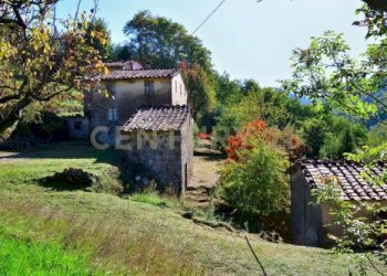 20221024171825-701951-26.jpg - Rustico Loc. Pegogna, Pescaglia - foto 1