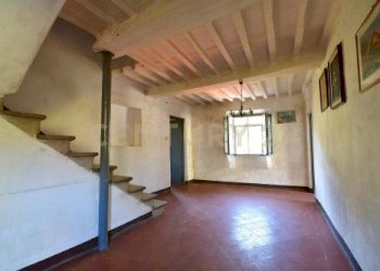 20221024171652-701951-6.jpg - Rustico Loc. Pegogna, Pescaglia - foto 4