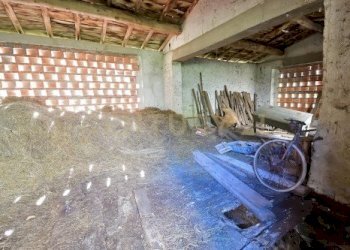 20221024171801-701951-22.jpg - Rustico Loc. Pegogna, Pescaglia - foto 10