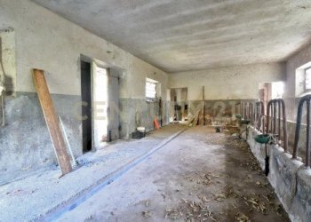 20221024171811-701951-24.jpg - Rustico Loc. Pegogna, Pescaglia - foto 12