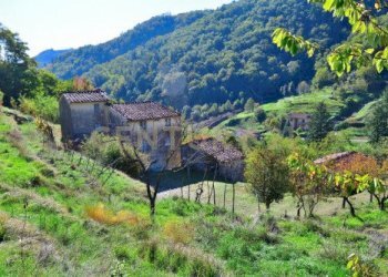 20221024171856-701951-32.jpg - Rustico Loc. Pegogna, Pescaglia - foto 14