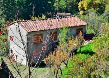 20221024171910-701951-35.jpg - Rustico Loc. Pegogna, Pescaglia - foto 15