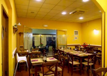 22161024 Porcari - Stefy3-HR 020LRPizzeria Stefy 3 - Pizzeria Via del Centenario 79, Porcari - photo 11