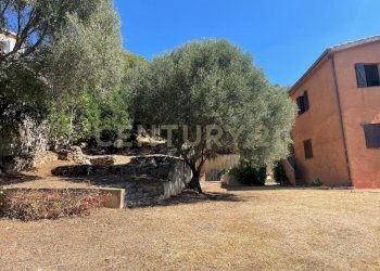 IMG-20250918-WA0030.jpg - Villa Via degli Eucalipti 21, Quartu Sant'Elena - foto 12