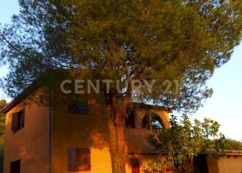 P1000137.JPG - Villa Via degli Eucalipti 21, Quartu Sant'Elena - foto 26