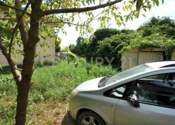 Albaredo d\'adige via Chiesa da ristrutturare (4).J - Porzione di casa Via Chiesa 58, Albaredo d'Adige - foto 5