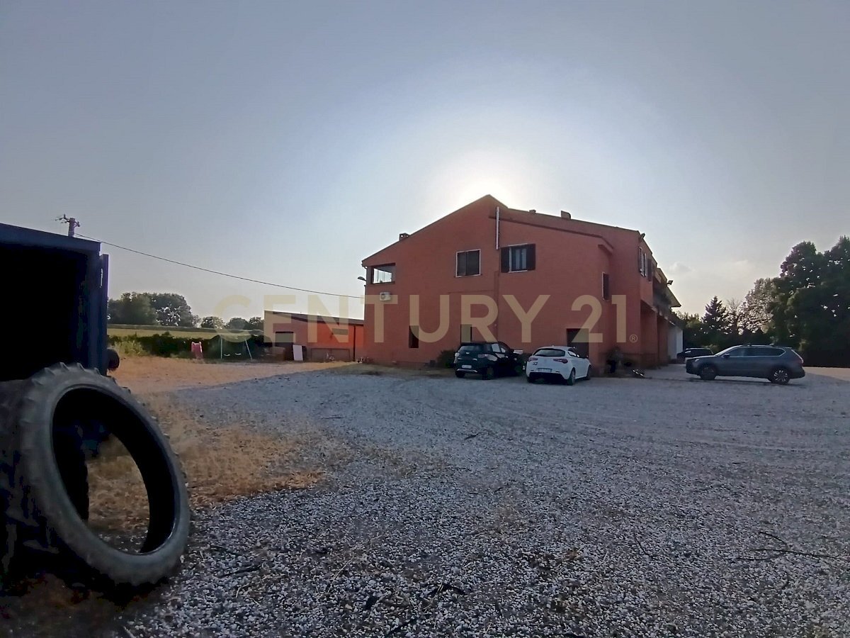 PHOTO-2025-06-26-16-26-46 (1).jpg - Appartamento Strada Ostigliese 109, Roncoferraro - foto 2