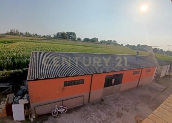 PHOTO-2025-06-26-16-26-48 (4).jpg - Appartamento Strada Ostigliese 109, Roncoferraro - foto 22