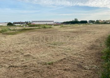 7.jpg - Terreno edificabile Via Olmo, Oppeano - foto 6