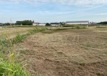 8.jpg - Terreno edificabile Via Olmo, Oppeano - foto 7