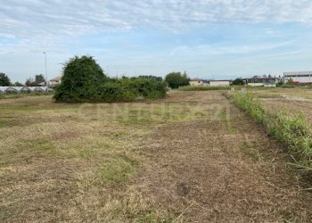 11.jpg - Terreno edificabile Via Olmo, Oppeano - foto 10