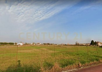 7.jpg - Terreno edificabile Via Olmo, Oppeano - foto 6