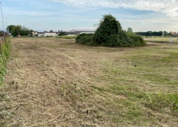 12.jpg - Terreno edificabile Via Olmo, Oppeano - foto 11