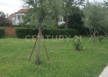 DSC_8785.JPG - Trilocale Vianelli 634, Venezia - foto 6