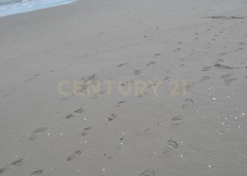 DSC_8801 spiaggia di Pellestrina (2).JPG - Trilocale Vianelli 634, Venezia - foto 11