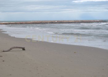 DSC_8801 spiaggia di Pellestrina (1).JPG - Trilocale Vianelli 634, Venezia - foto 8