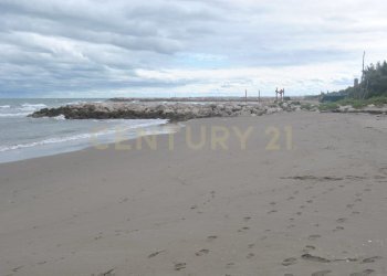 DSC_8801 spiaggia di Pellestrina (3).JPG - Trilocale Vianelli 634, Venezia - foto 10