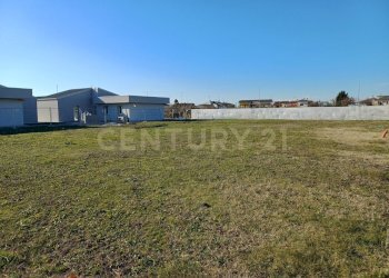 20250114_120808.jpg - Terreno edificabile Via Cimitero snc, Castelbelforte - foto 5