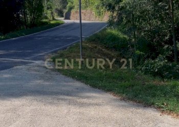 20240813_164917.jpg - Terratetto - Terracielo Via Valle di Qua 5, Altissimo - foto 4