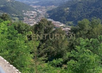 20240813_165711.jpg - Terratetto - Terracielo Via Valle di Qua 5, Altissimo - foto 5